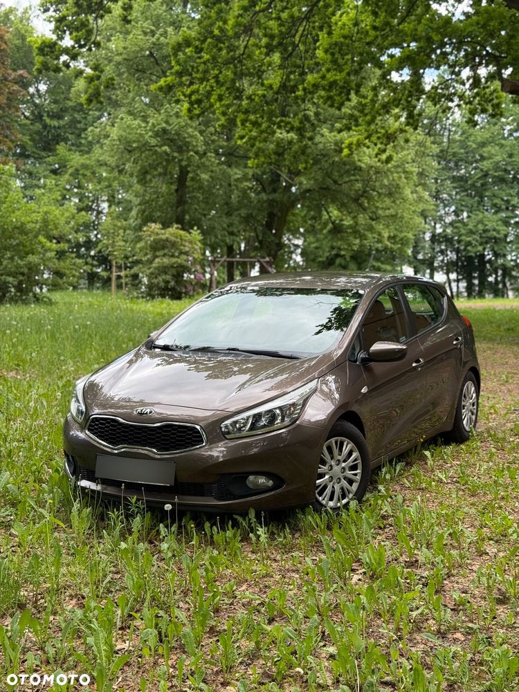 Kia Ceed - 1