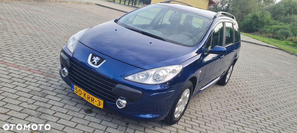 Peugeot 307 110 Premium - 9