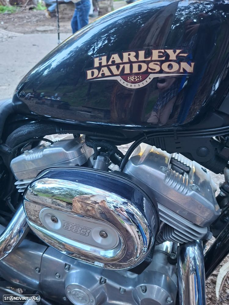 Harley-Davidson 883 Low - 2