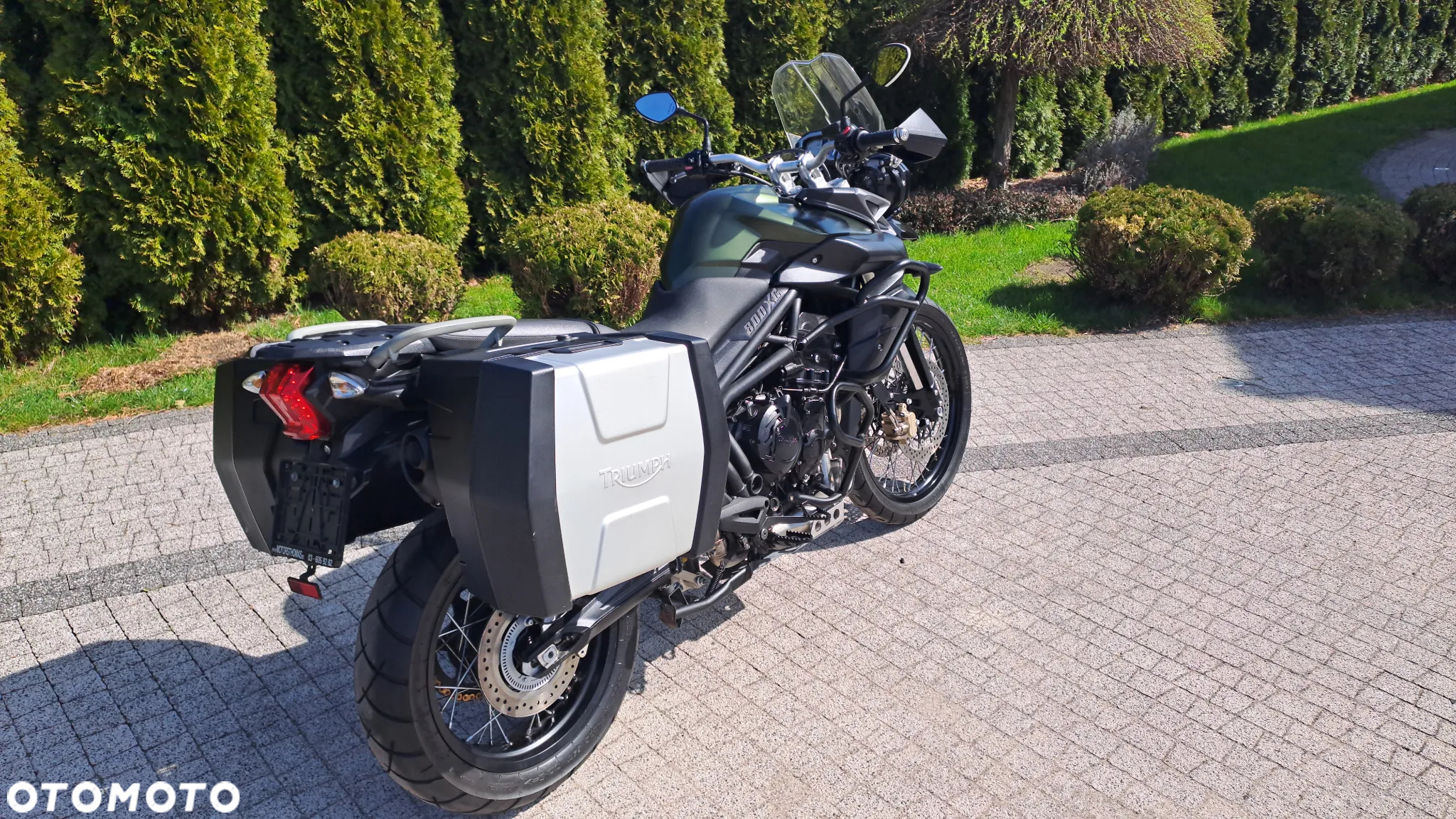 Triumph Tiger - 10