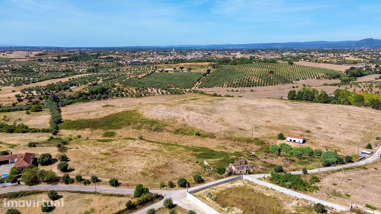 Terreno em Vale Carvão-Carril-Torres Novas | 15,88 Hectares - Grande imagem: 2/17