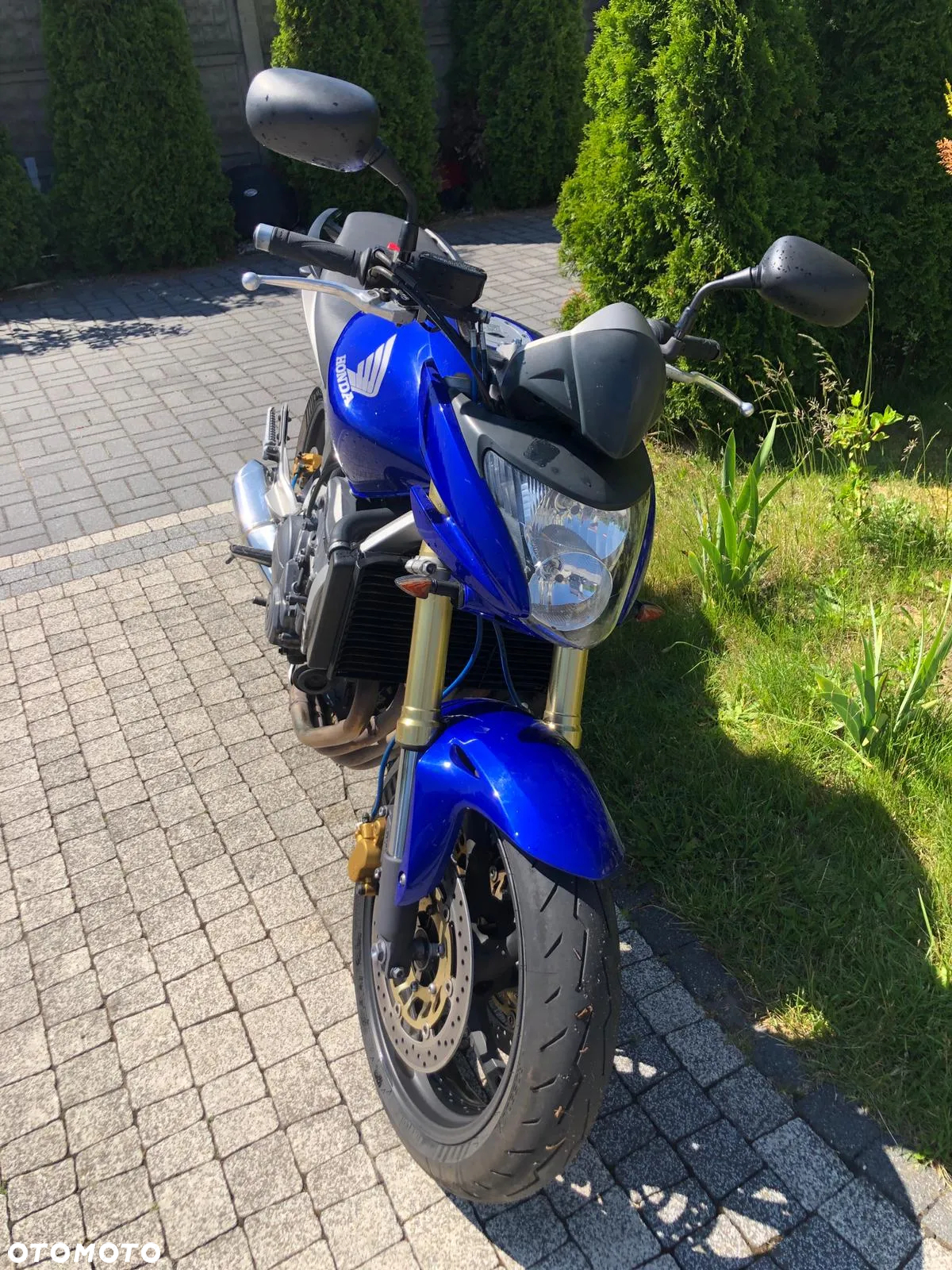 Honda Hornet - 11