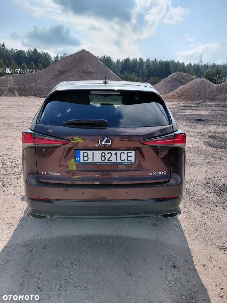 Lexus NX 300 Business Edition AWD - 5