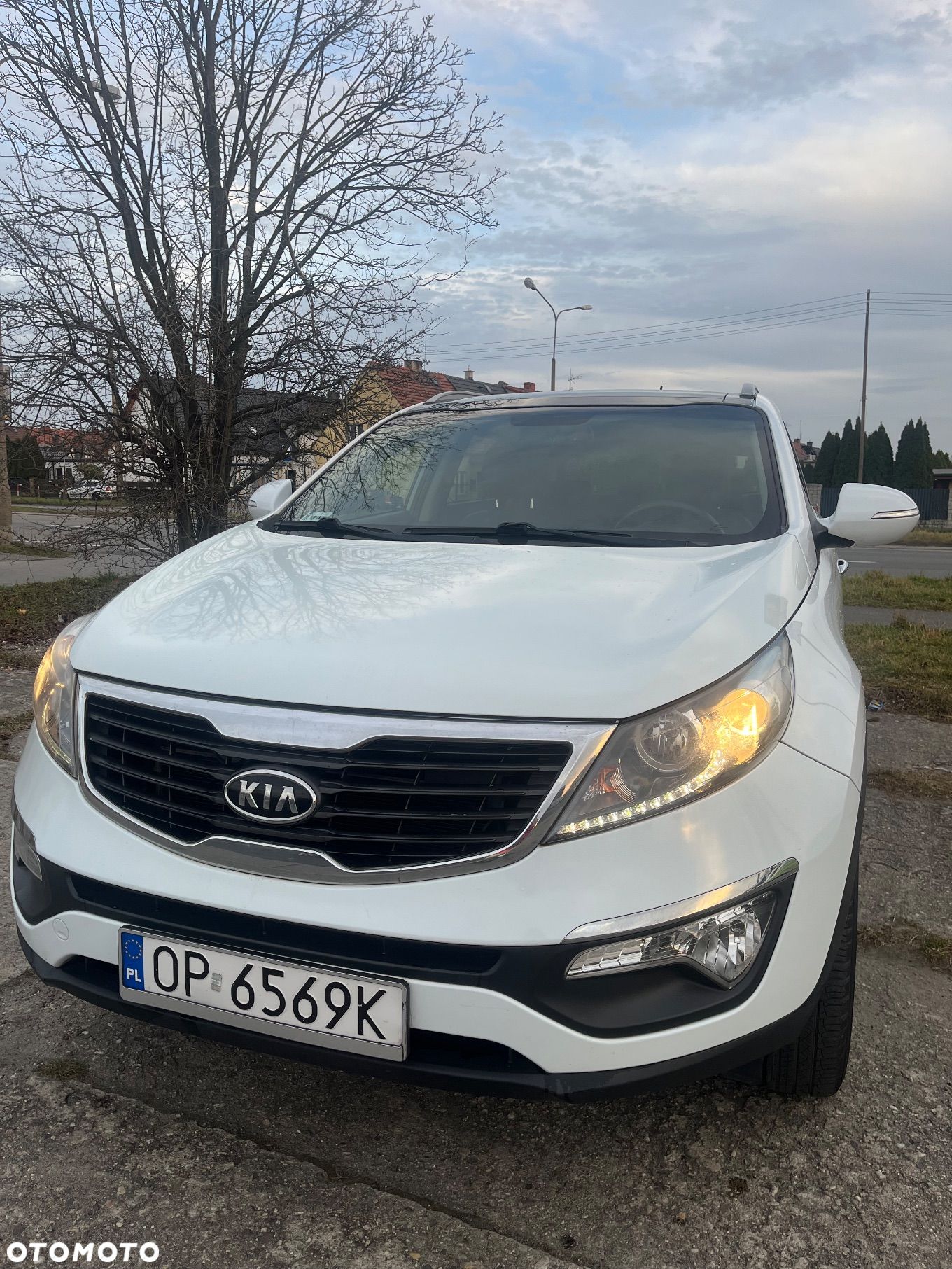 Kia Sportage - 1