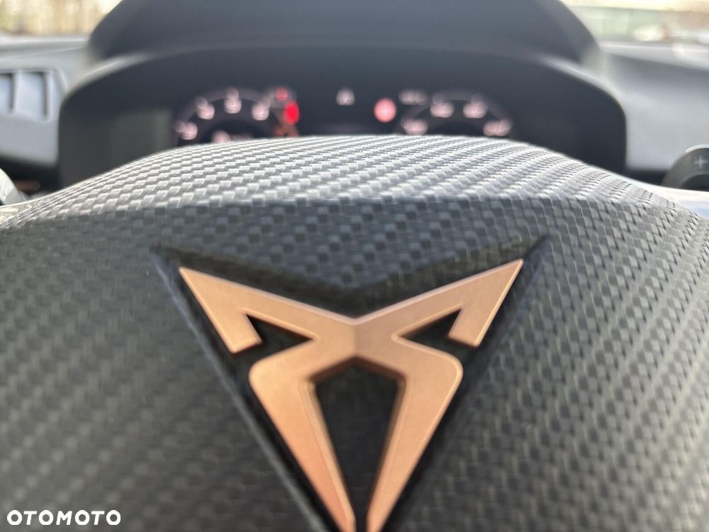 Cupra Terramar - 22