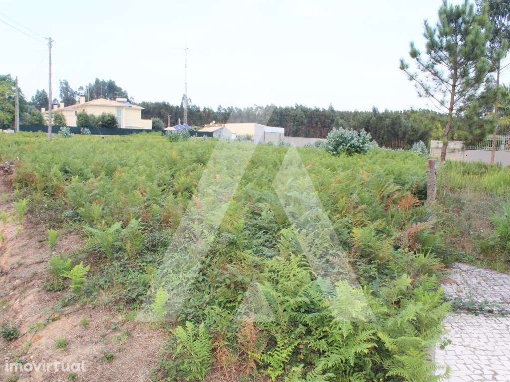 Terreno para construção na Senhora do Socorro - Albergaria-a-Velha - Grande imagem: 4/11