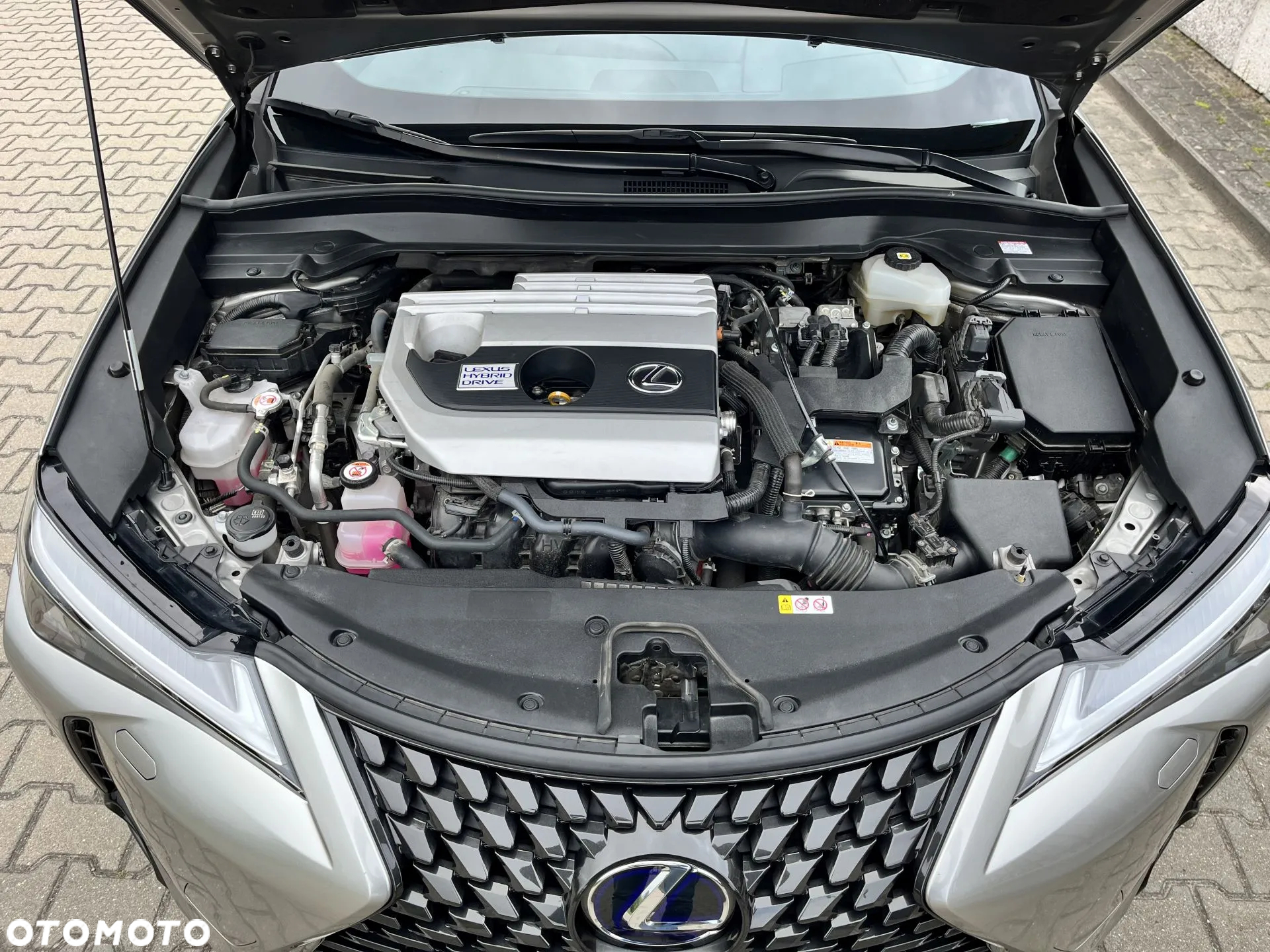 Lexus UX 200 GPF F Impression 2WD - 12