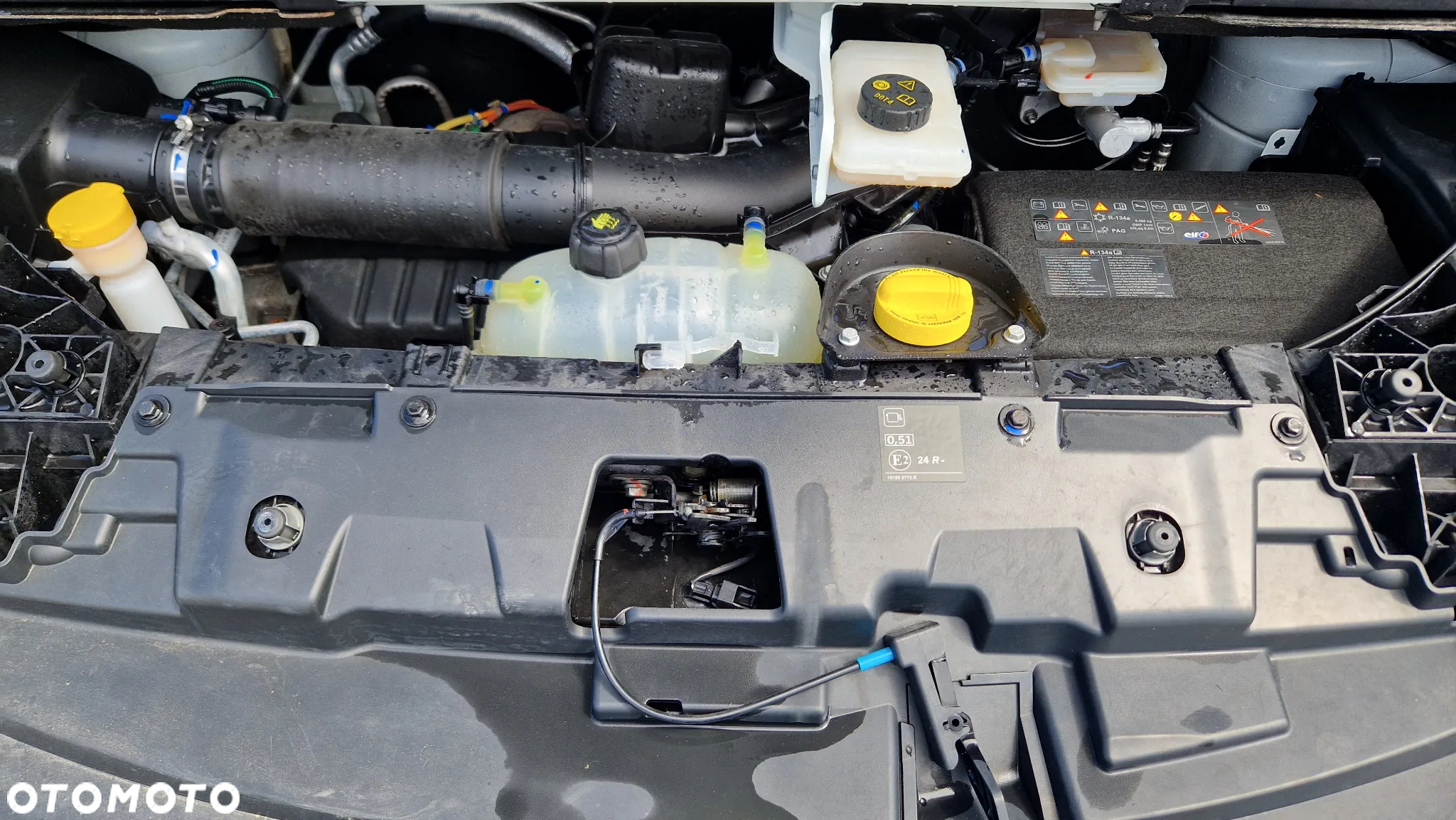 Renault Trafic - 24