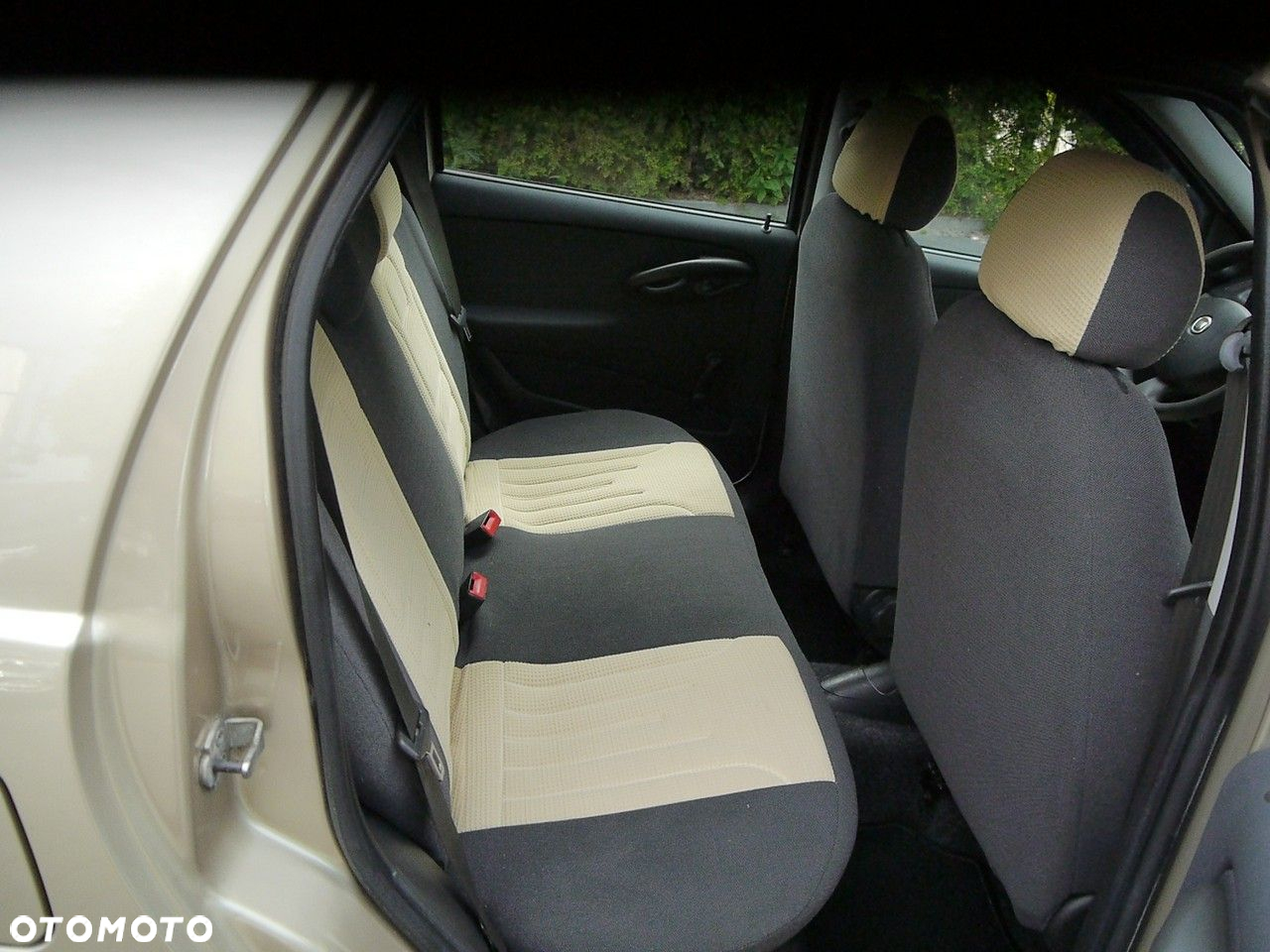 Fiat Punto - 26