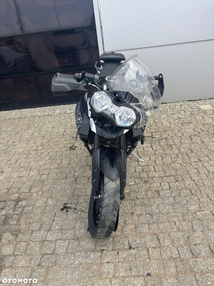 Triumph Tiger - 9