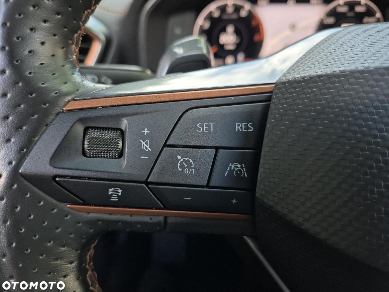 Cupra Formentor 1.5 TSI DSG - 23