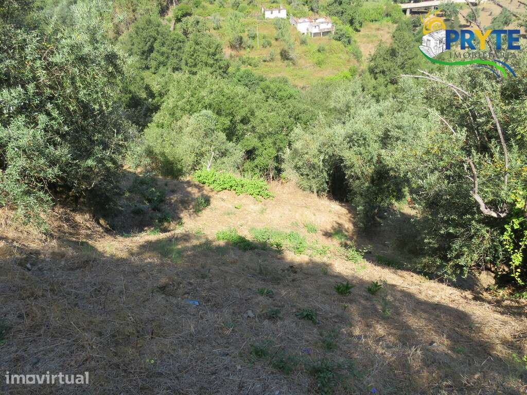 Terreno para construção inserido no aglomerado urbano da Vila da Sertã - Grande imagem: 2/14