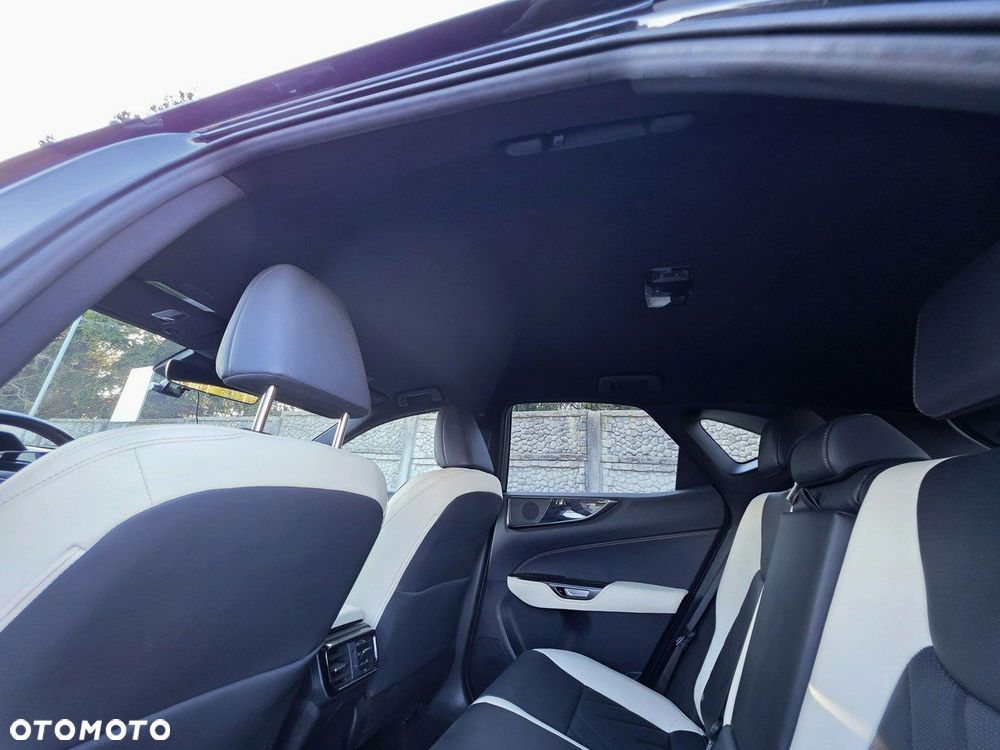 Lexus NX - 22