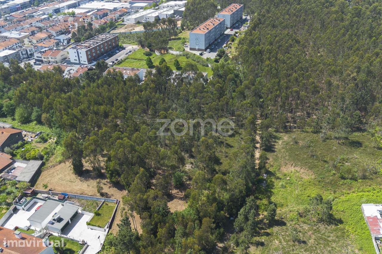 Terreno Agrícola - Grande imagem: 3/10