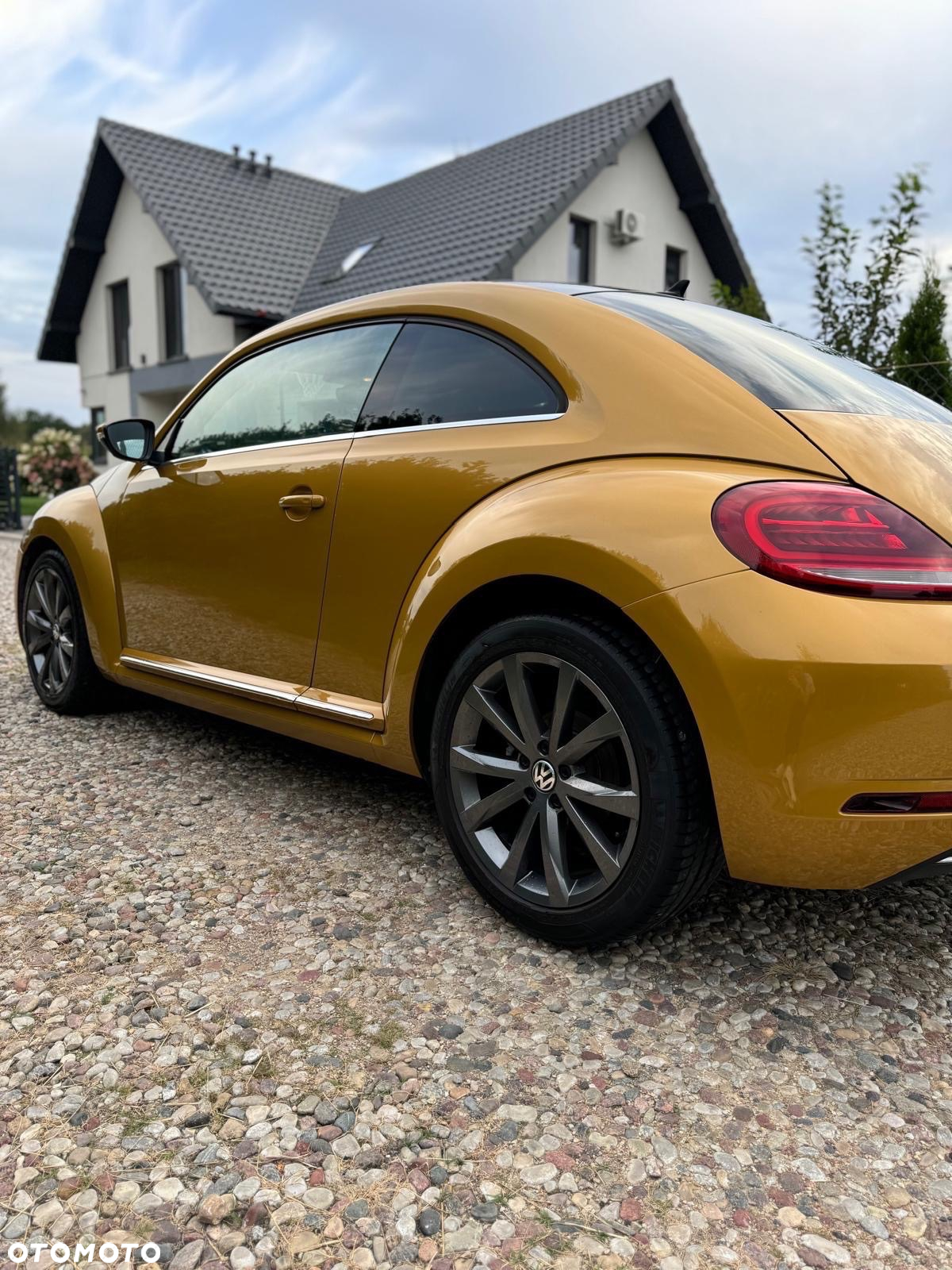 Volkswagen Beetle - 6