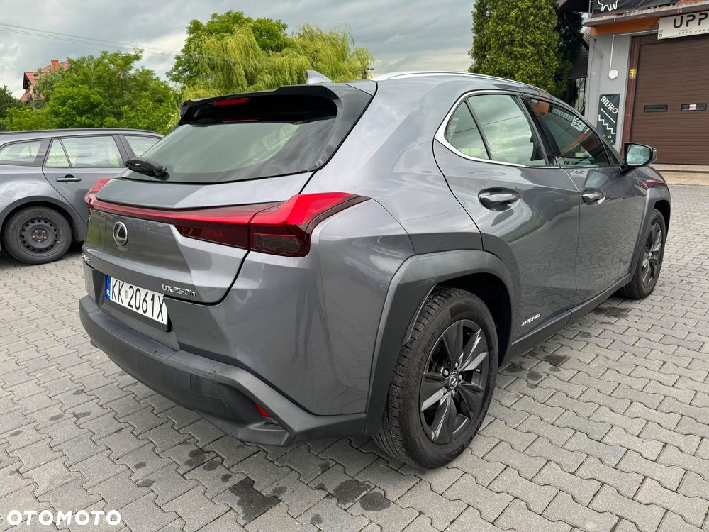 Lexus UX 250h GPF Business Edition AWD - 6