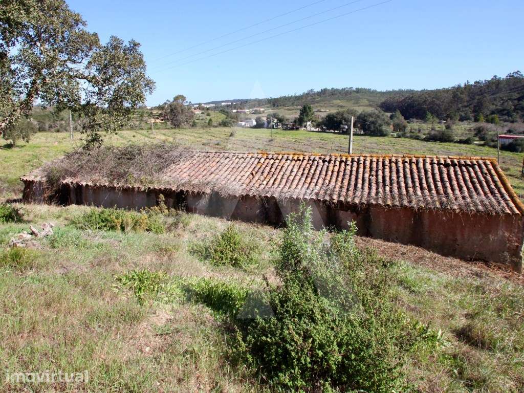 TERRENO 38HA MISTO COM TRES RUINAS EM 24 DIVISOES - Grande imagem: 3/30