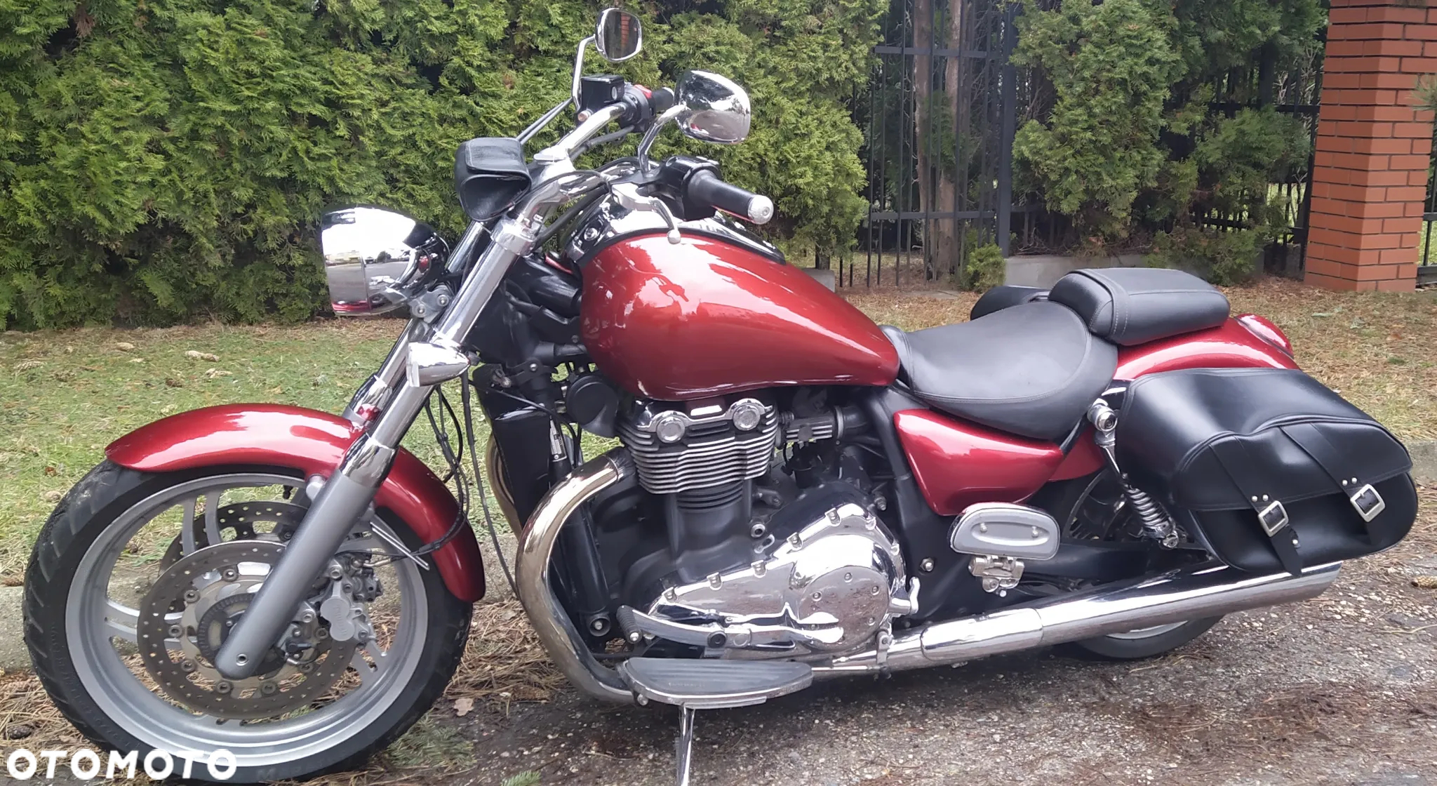 Triumph Thunderbird - 4