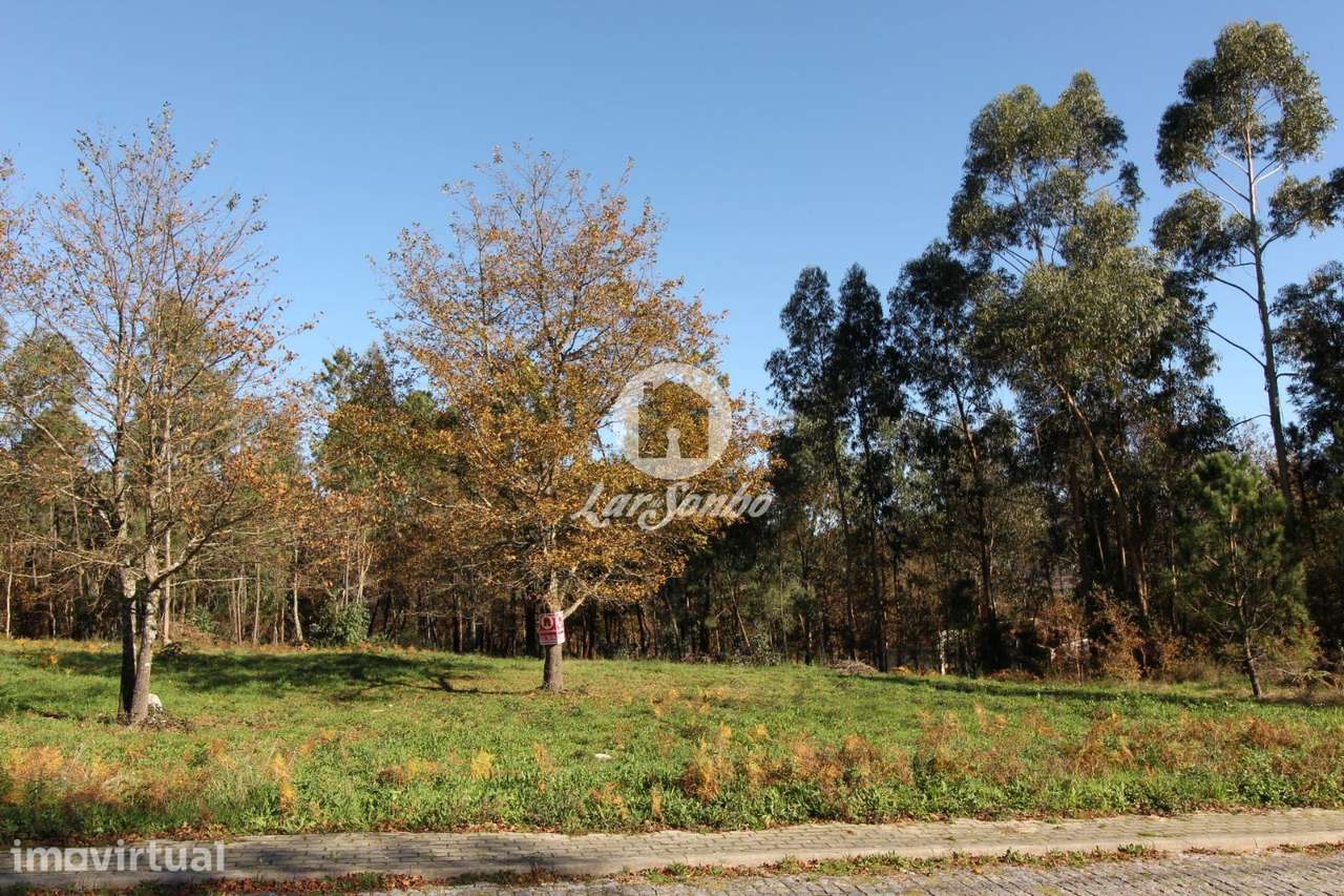 Lote  de Terreno para moradia individual em Borba, Celorico de Basto - Grande imagem: 3/7