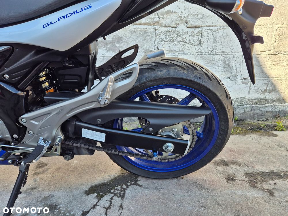 Suzuki Gladius - 14
