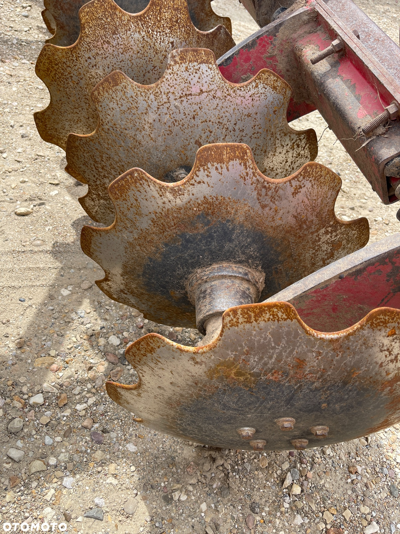 Horsch Joker 8rt - 5