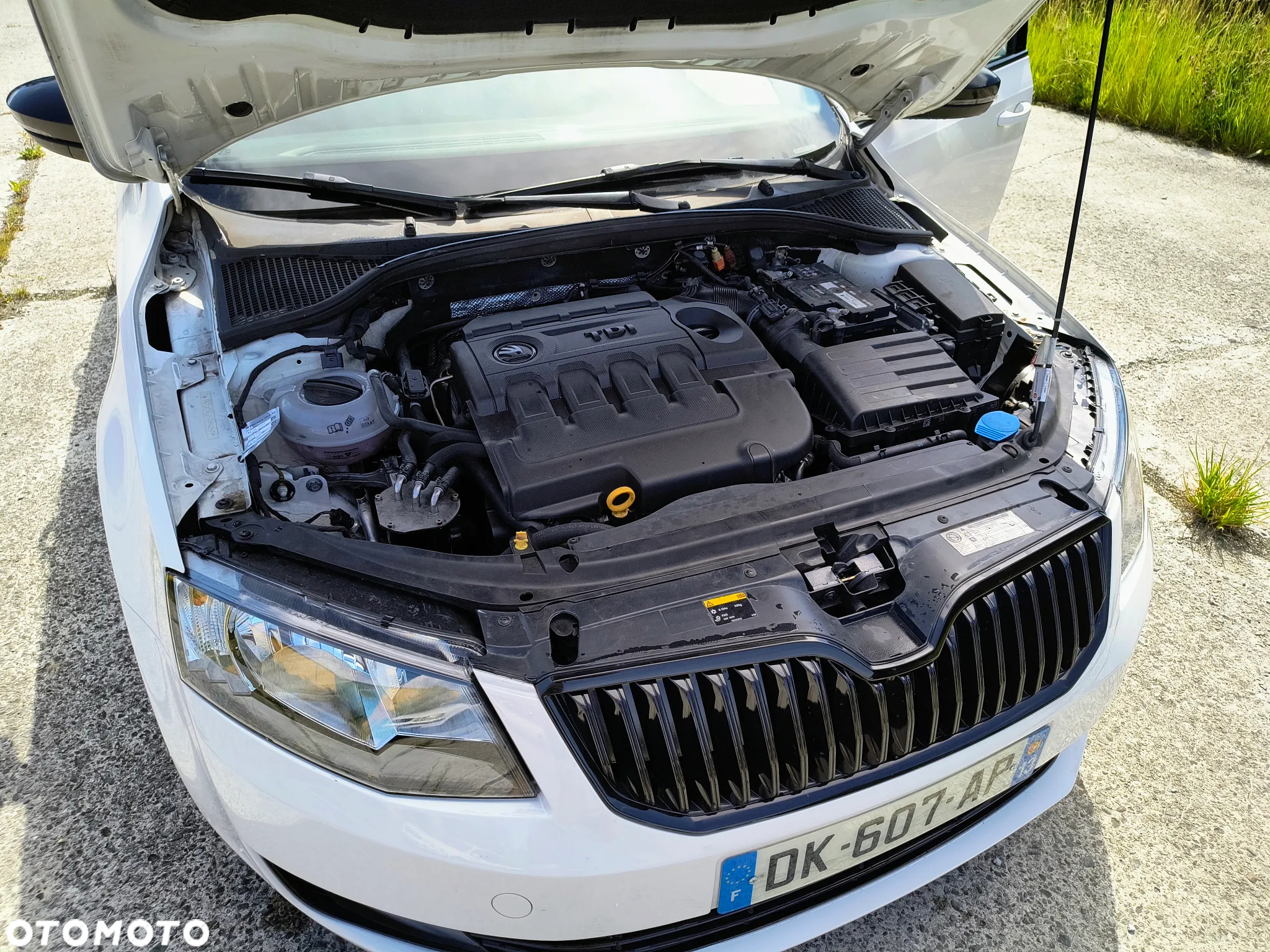 Skoda Octavia 1.6 TDI Active - 12