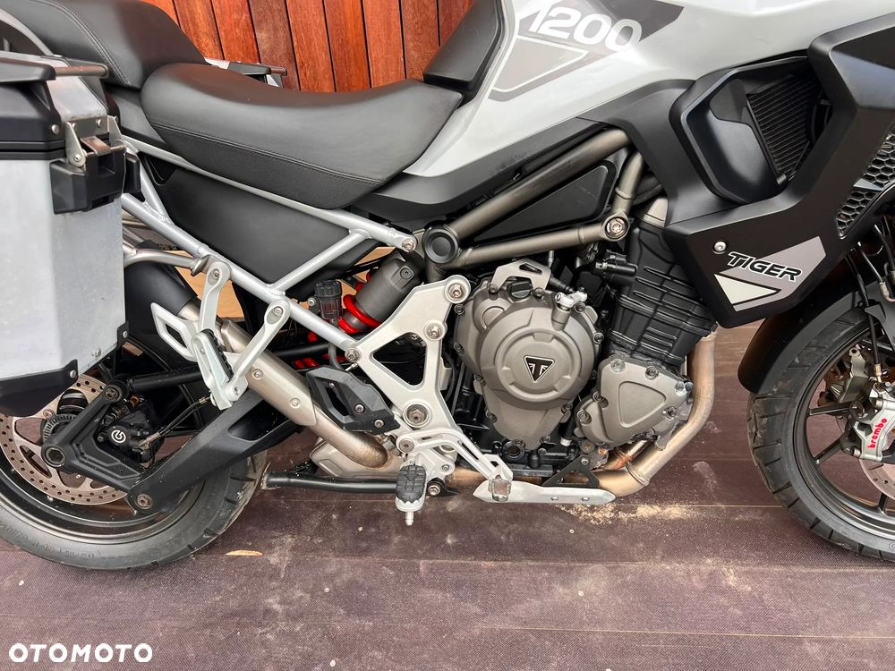 Triumph Tiger - 19