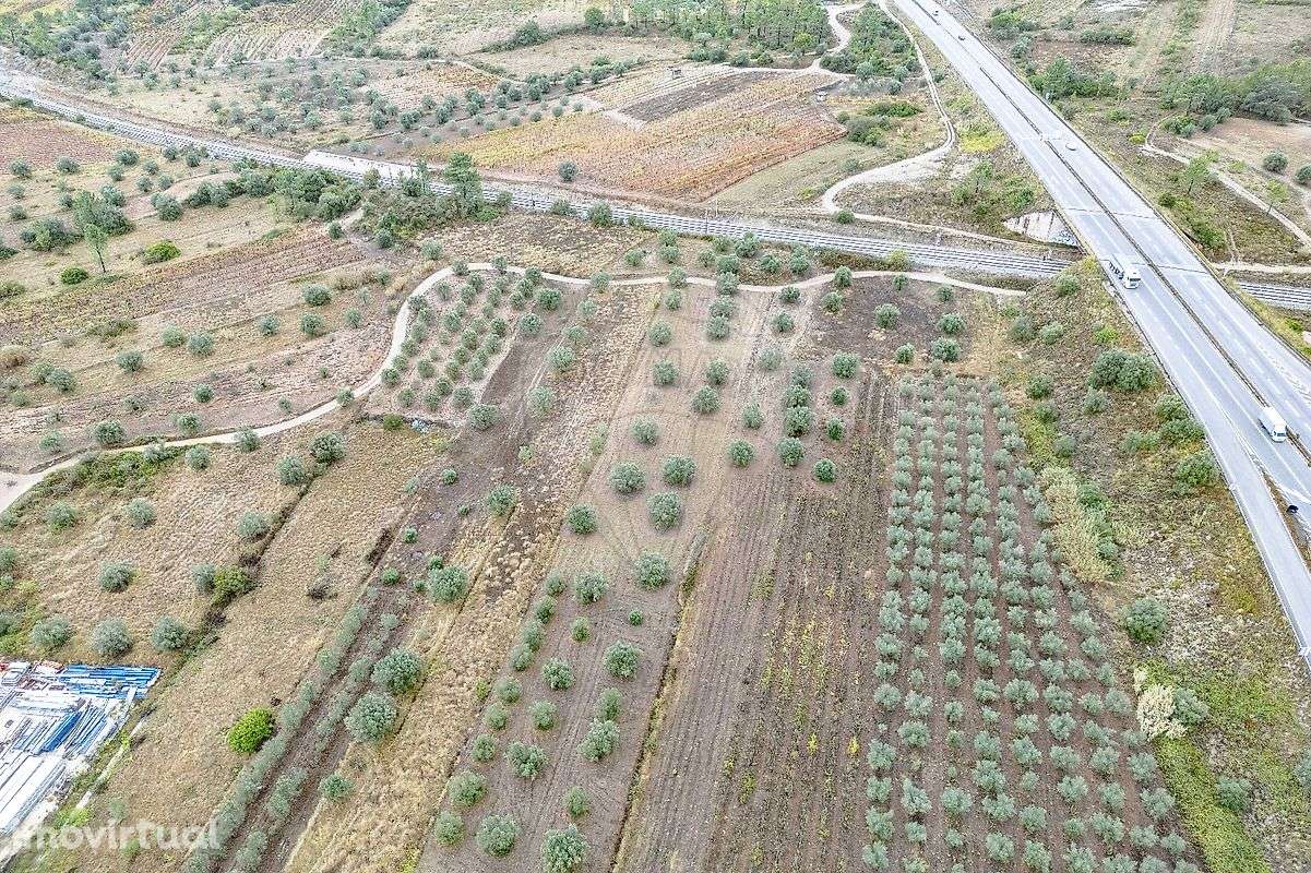 Industrial  para venda - Grande imagem: 4/7