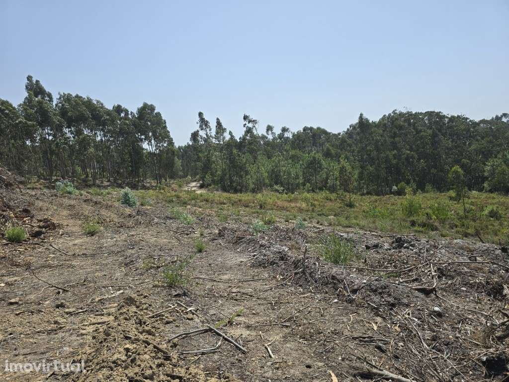 Terreno com PIP Válido e Vista Desafogada - Foz do Arelho - Grande imagem: 3/9