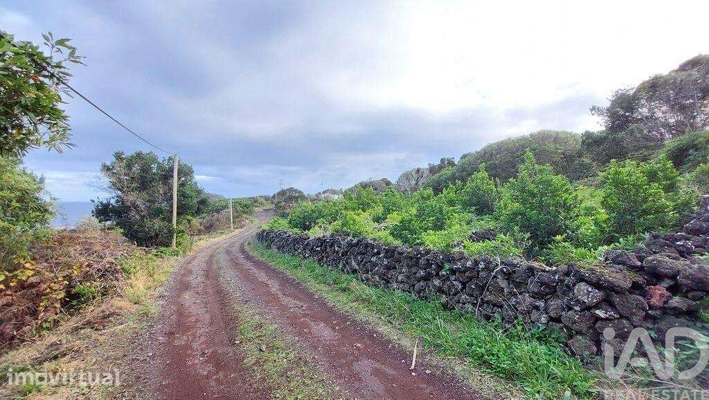 Terreno Agrícola em Piedade - Grande imagem: 2/16