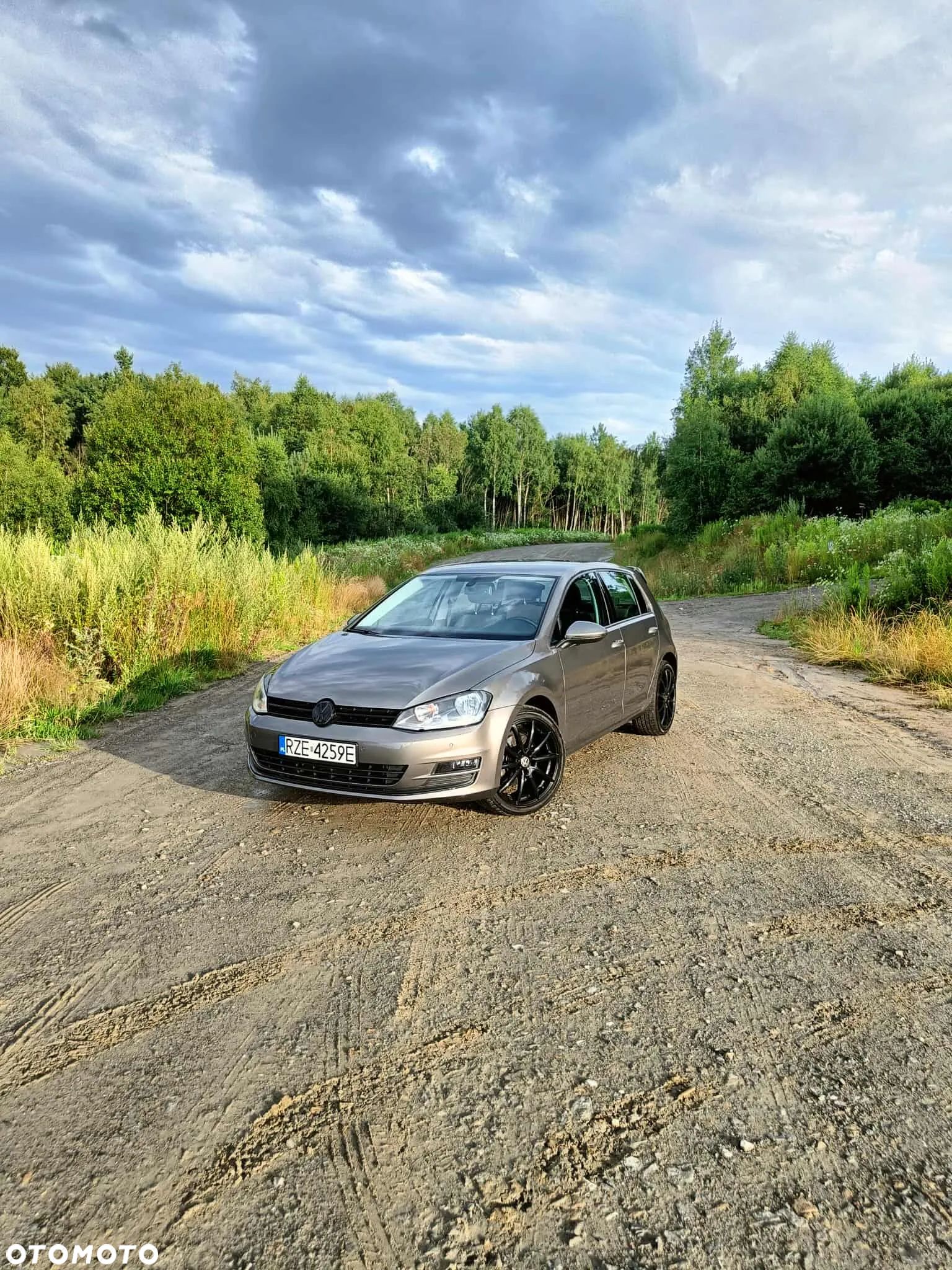 Volkswagen Golf - 1