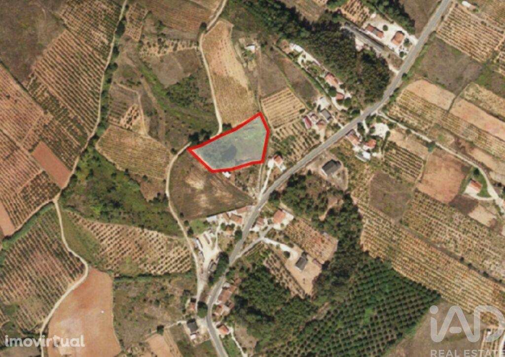 Terreno para construção em Cadaval e Pêro Moniz - Grande imagem: 4/10