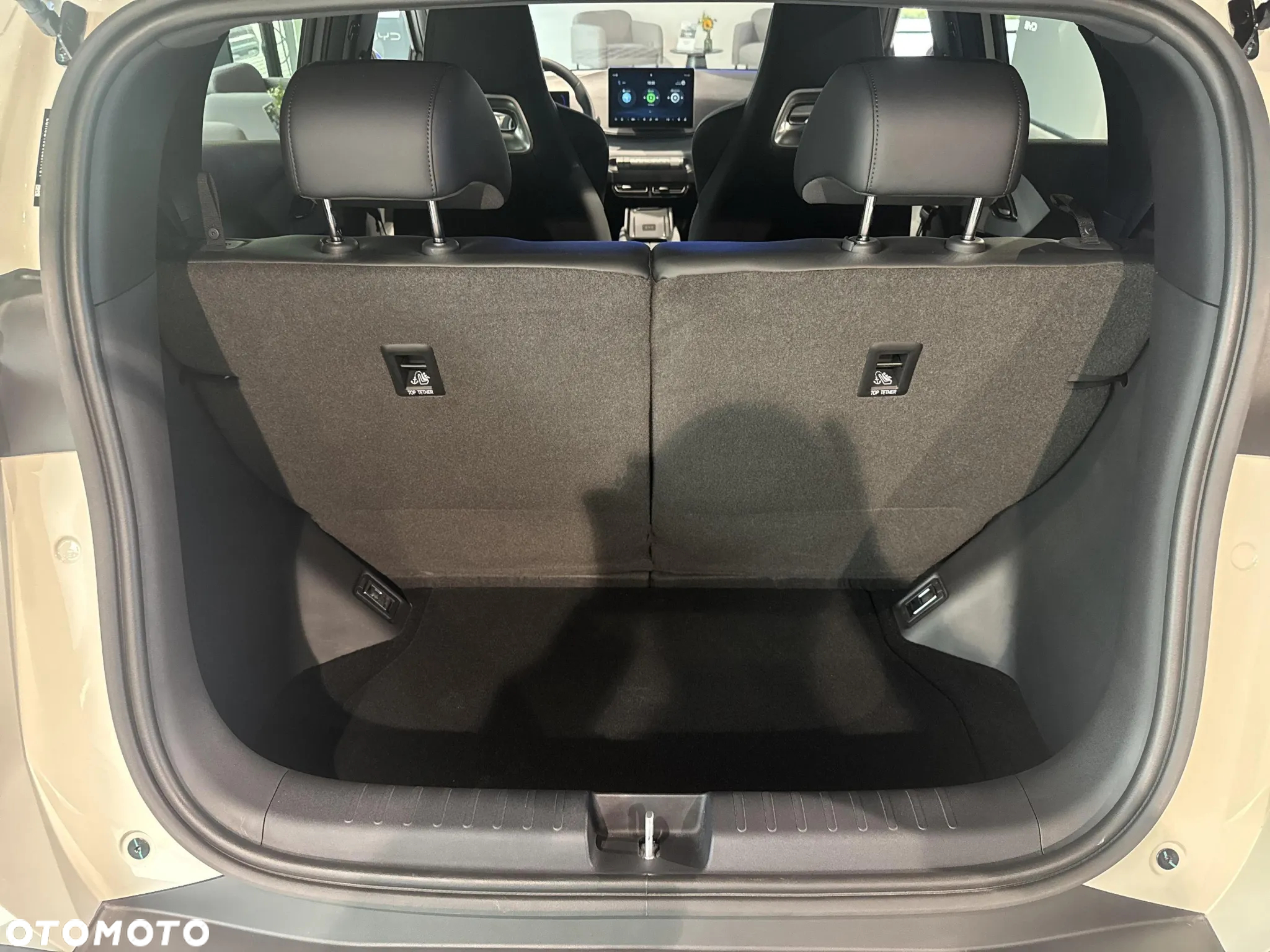 BYD Dolphin Mini - 17