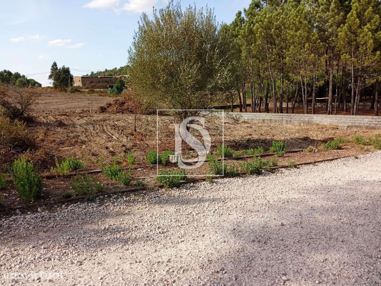 Terreno  Venda em Serra e Junceira,Tomar - Grande imagem: 2/15