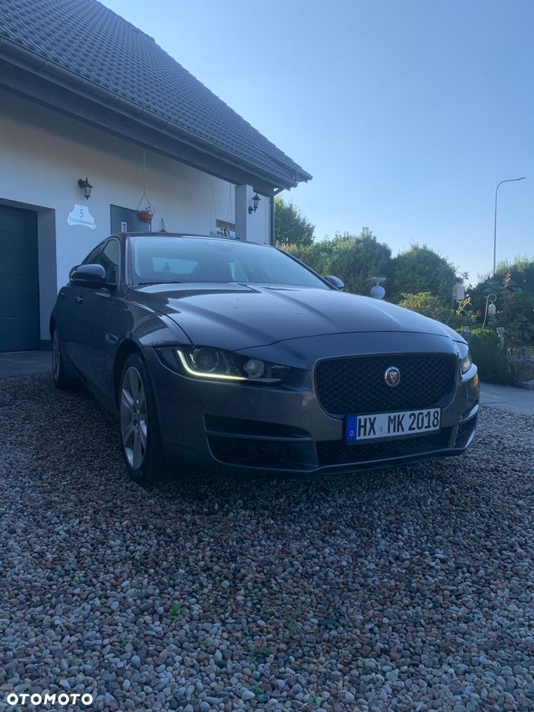 Jaguar XE - 11