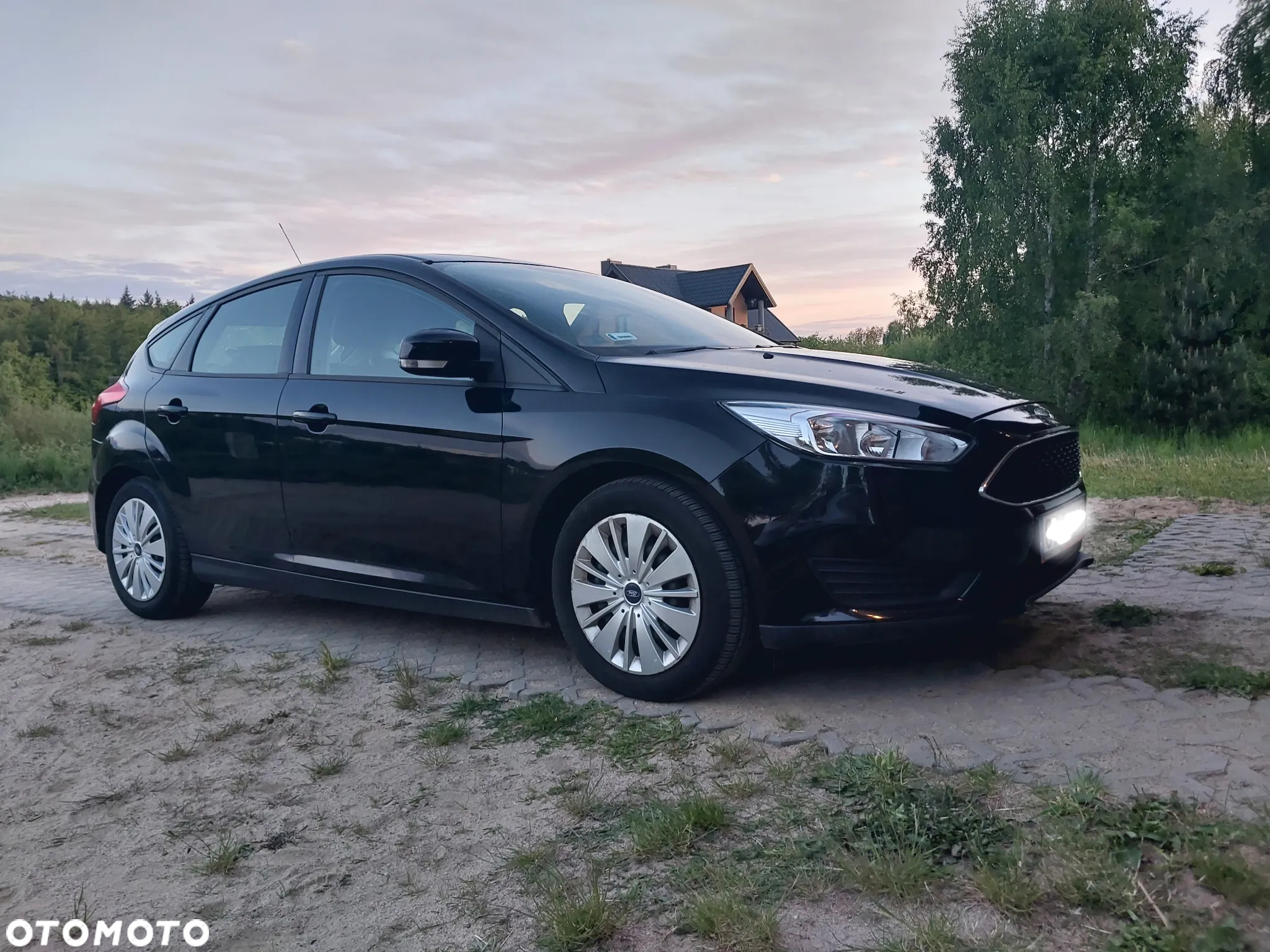 Ford Focus 1.6 Trend - 2