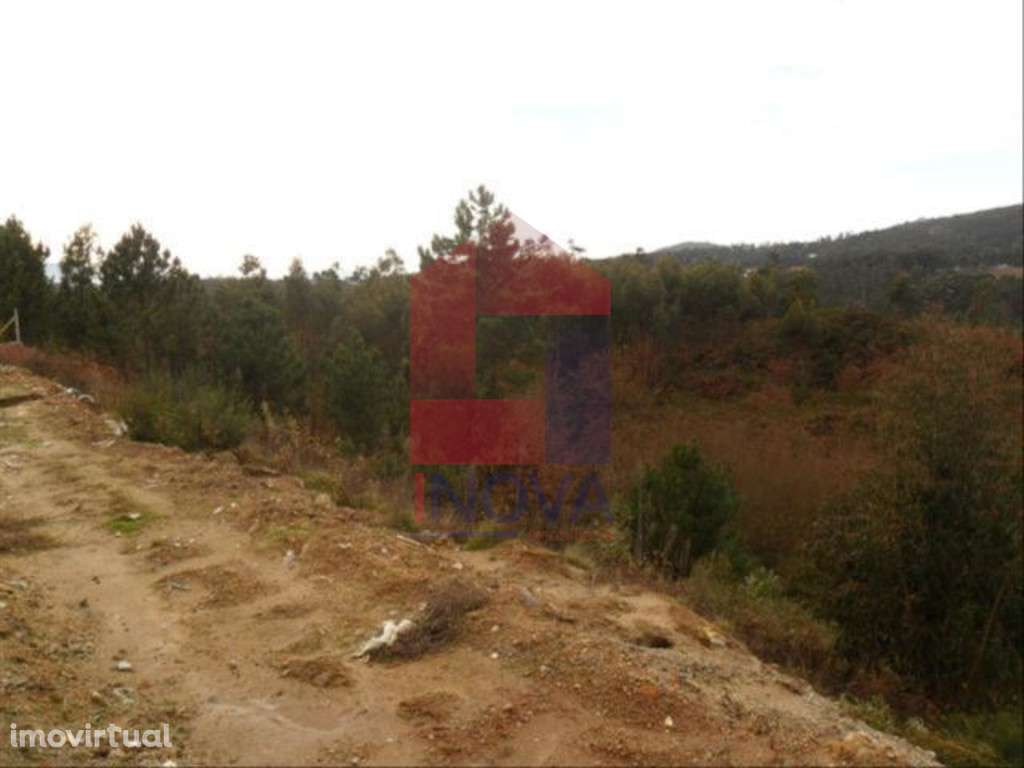 Vende-se Terreno, Cervães - Grande imagem: 4/6