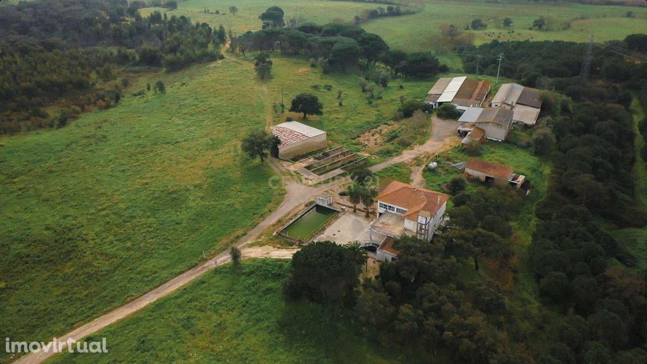 Quinta com 24 hectares no centro de Santarém – Excelente oportunidade - Grande imagem: 4/60