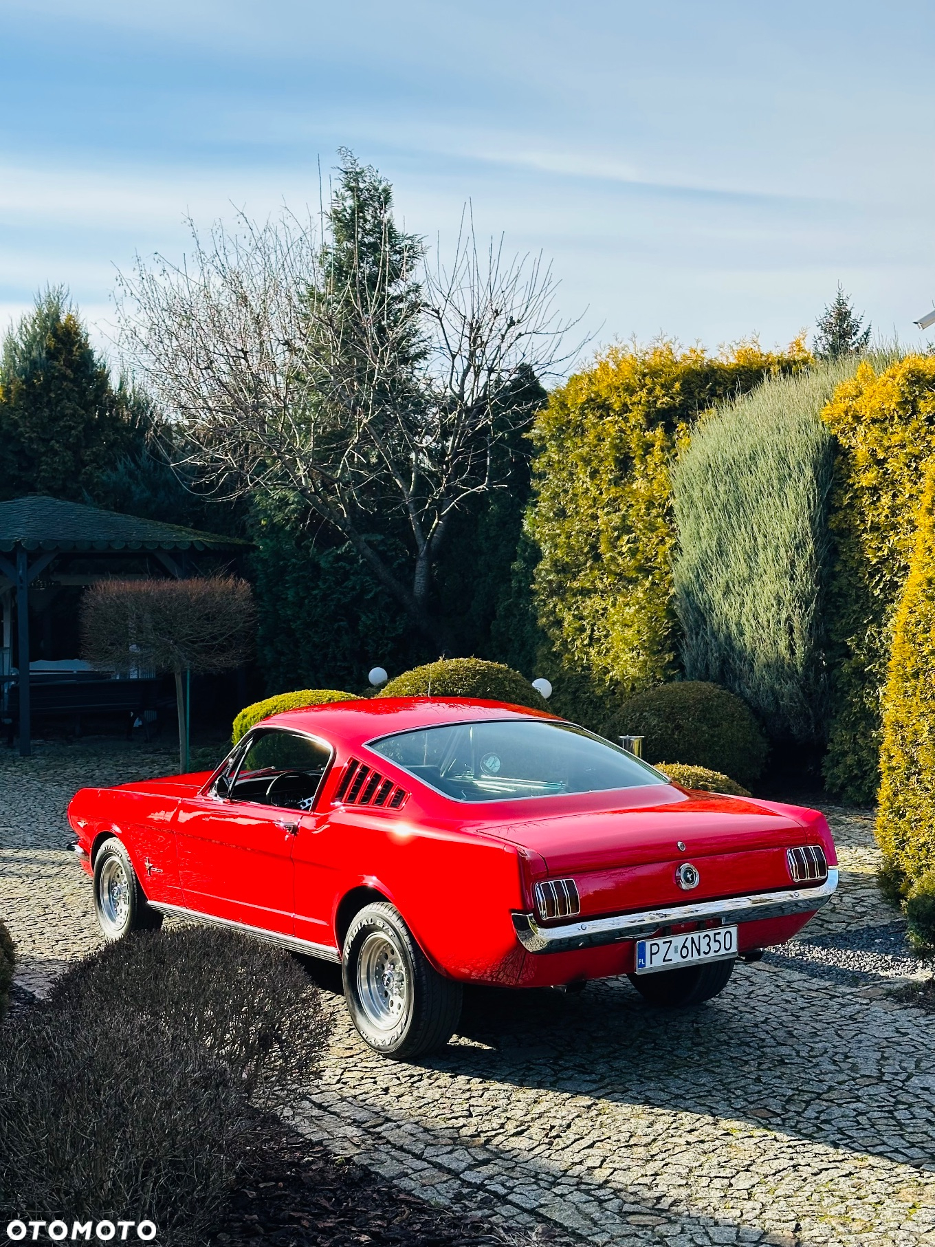 Ford Mustang - 4