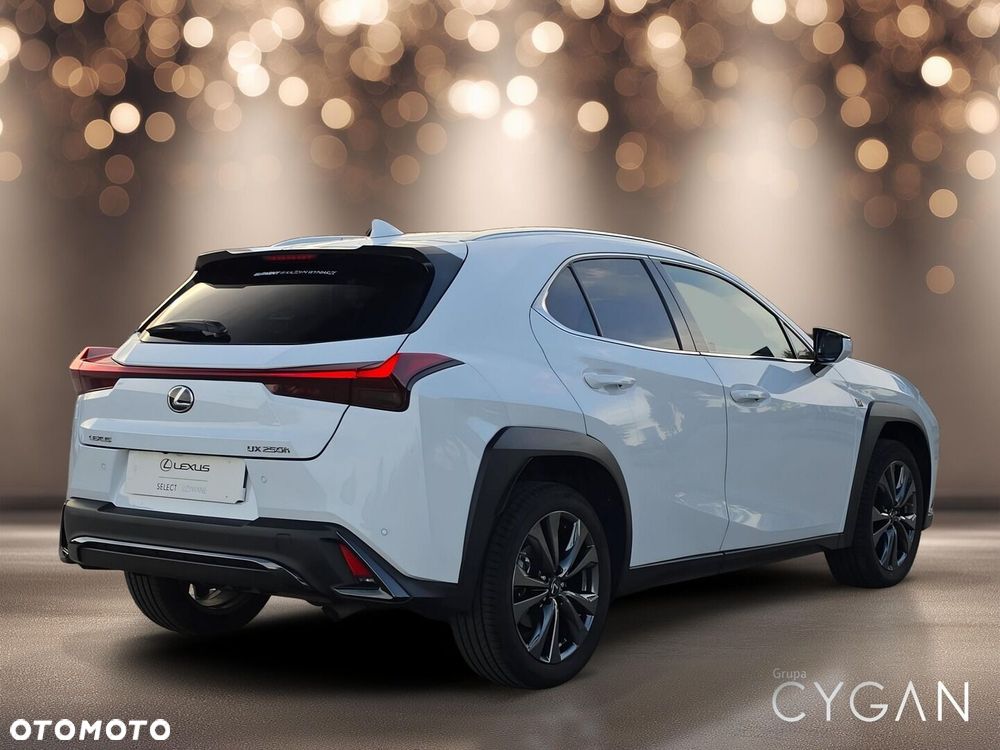 Lexus UX 250h GPF F Sport Design+ 2WD - 7