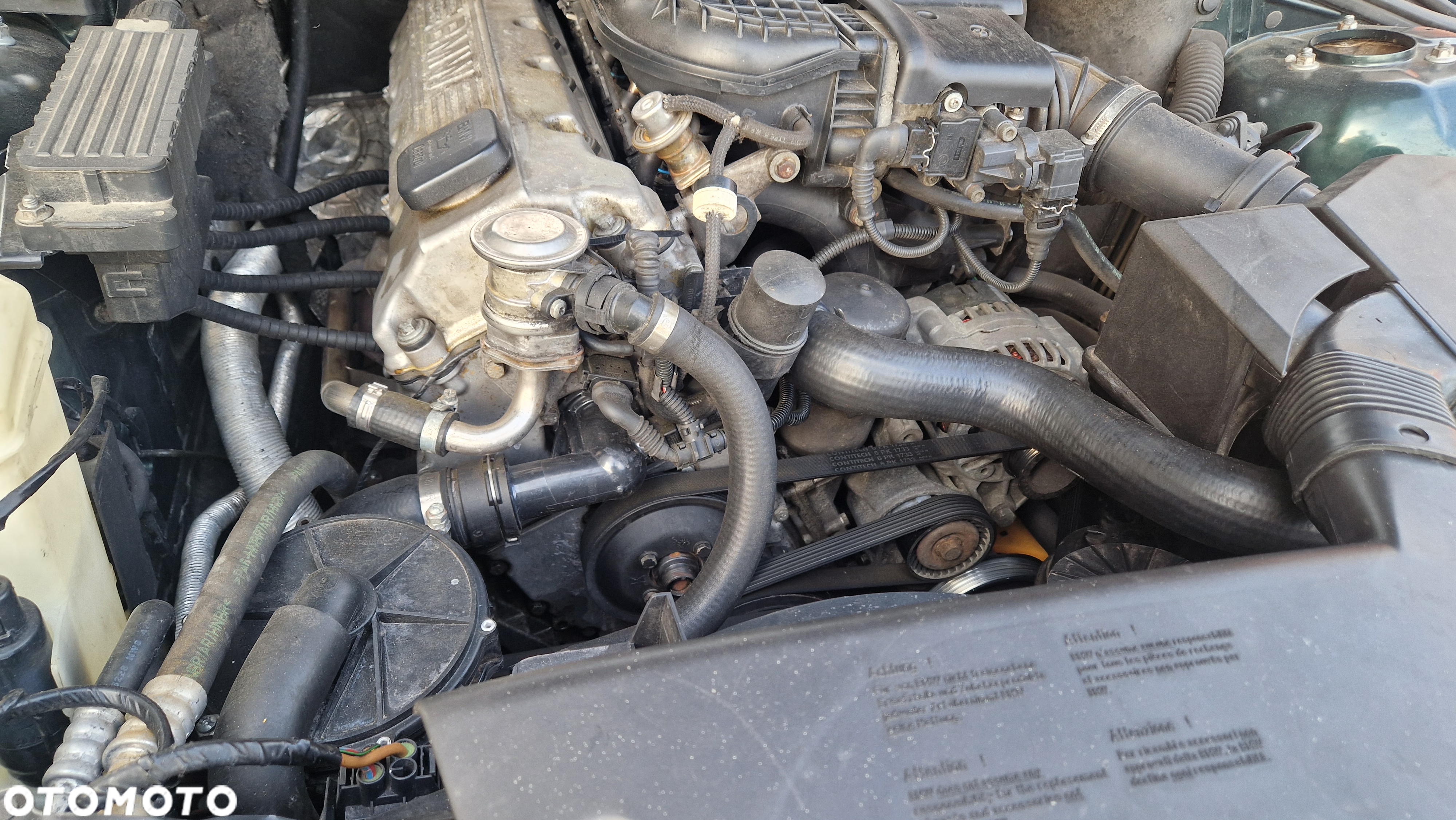 BMW Seria 3 318i - 16