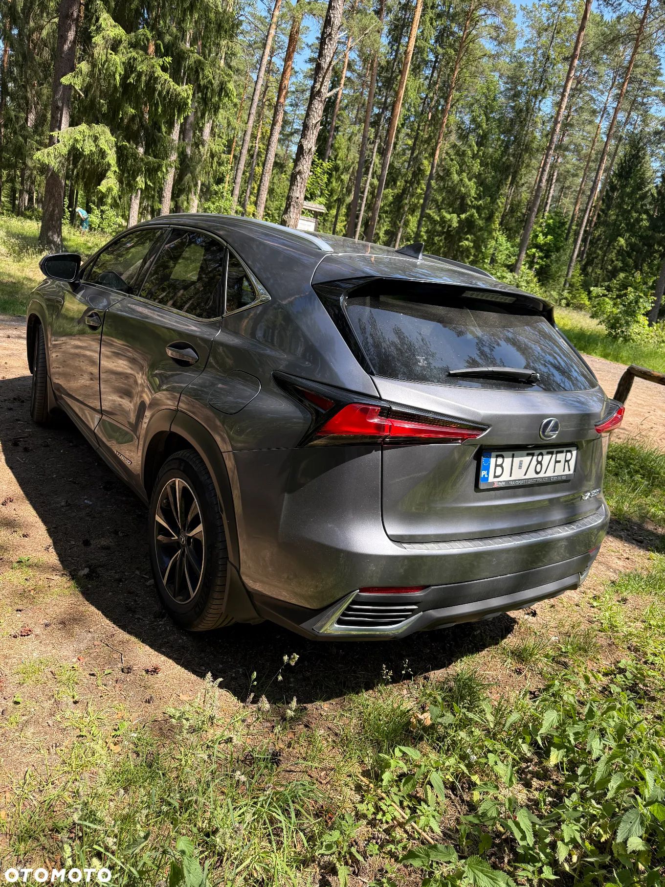 Lexus NX - 4