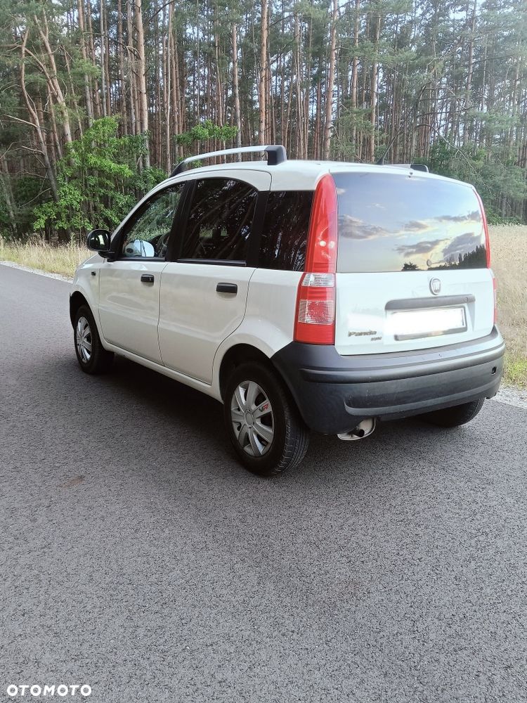 Fiat Panda - 6