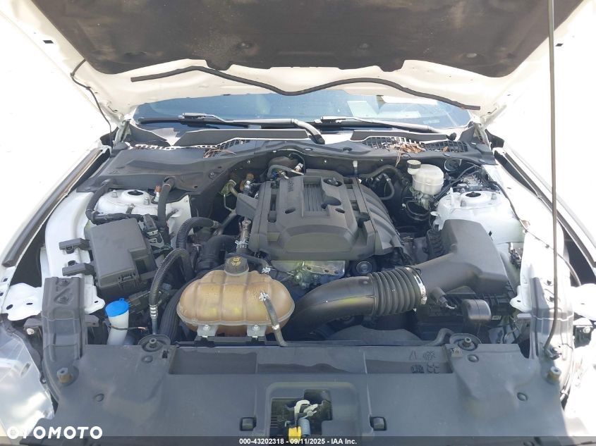 Ford Mustang 2.3 Eco Boost - 10