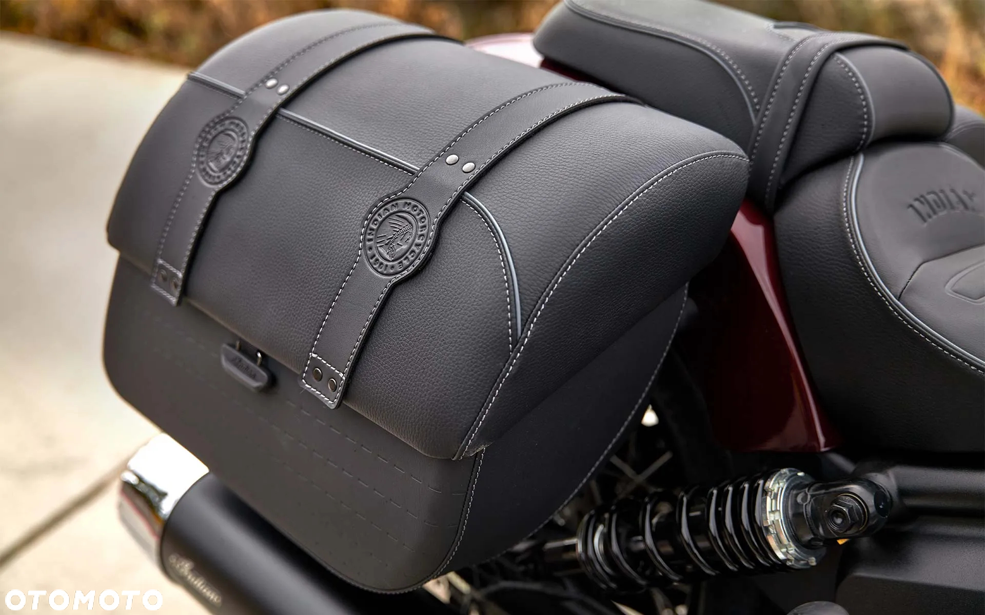 Indian Scout - 6