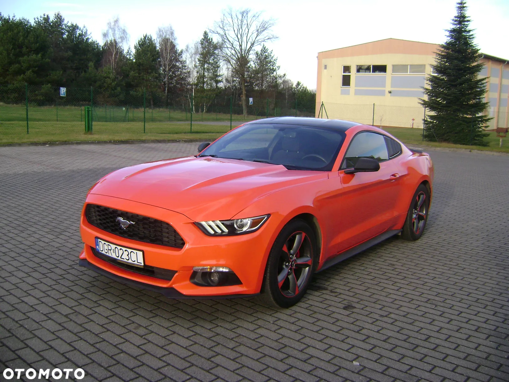 Ford Mustang 3.7 V6 - 6