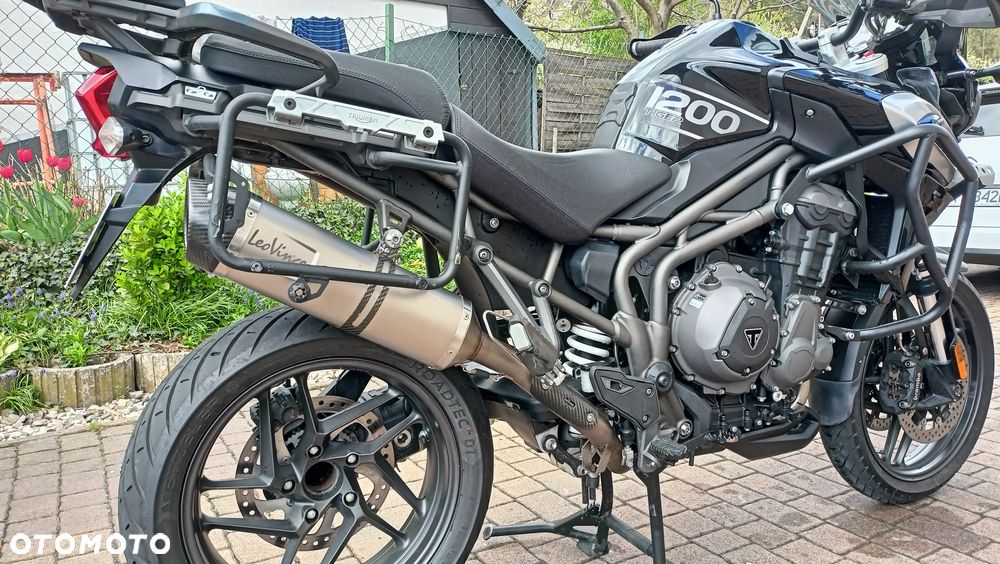 Triumph Tiger - 4