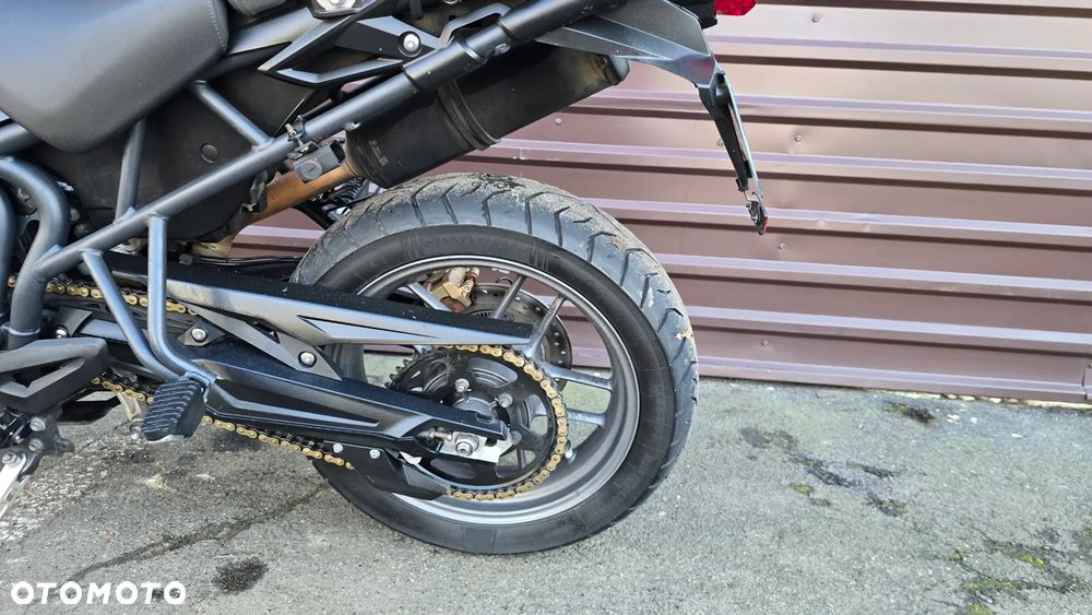 Triumph Tiger - 23