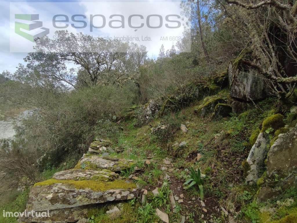 Terreno Rustico a confinar com Rio Ocreza - Grande imagem: 5/12