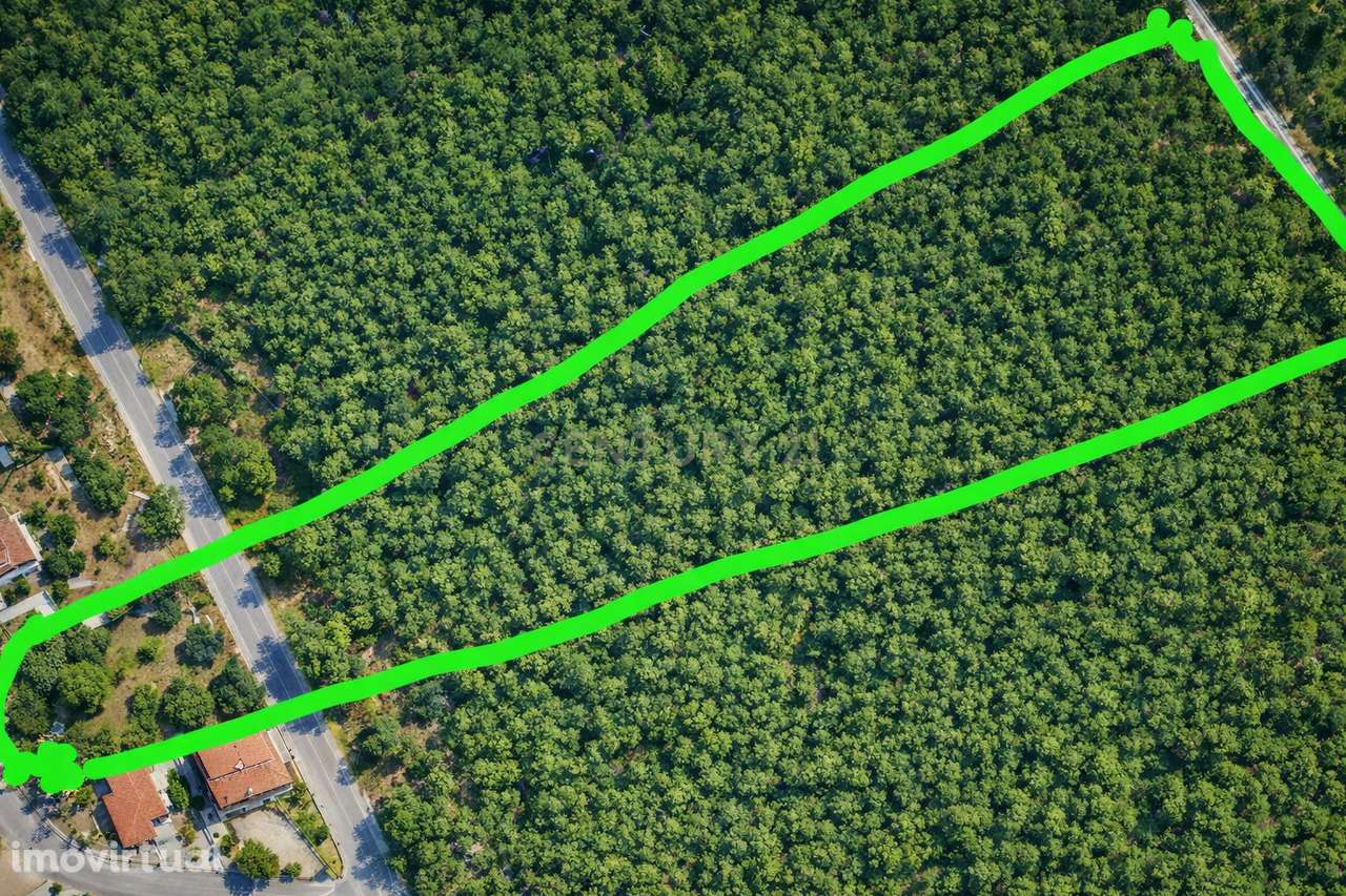 Terreno à venda em Salgueiro do Campo, Castelo Branco - Grande imagem: 4/8